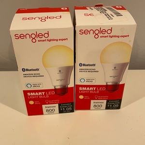 Two Amazon Alexa light bulb activated